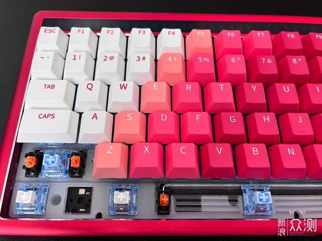 雙十一撿漏指南 達爾優A84 Pro、A900虎擎、拾音燈三款好物分享